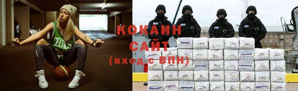 дмт Мегион