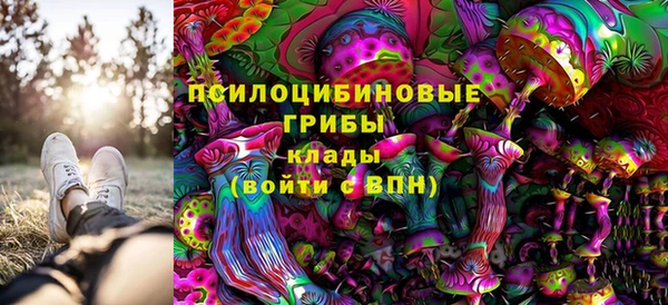 дмт Мегион