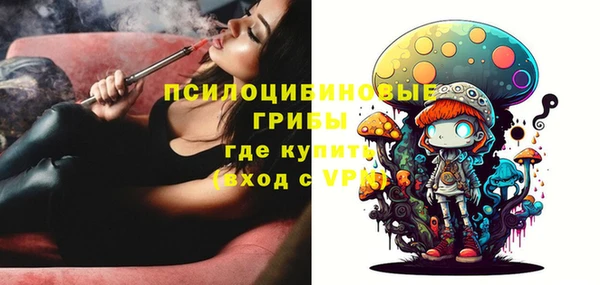 дмт Медвежьегорск