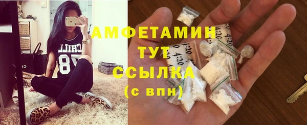 дмт Мегион