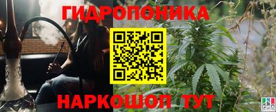 гашик Балаково