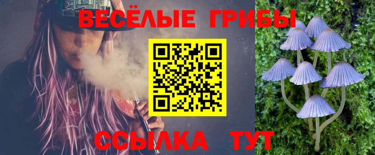 Елабуга  Галлюциногенные грибы прущие грибы  Вход с VPN  Псилоцибиновые грибы мицелий 