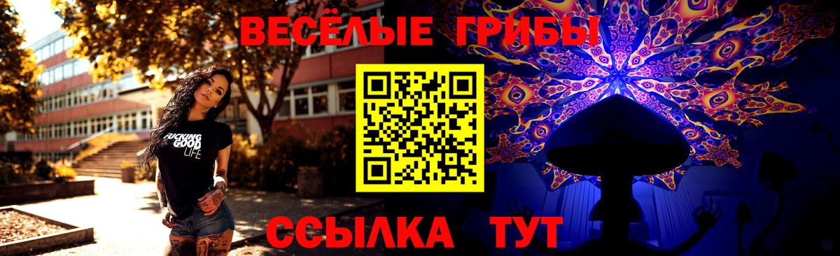 Псилоцибиновые грибы Psilocybe Елабуга